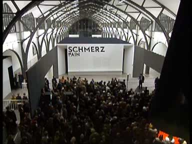 schmerz